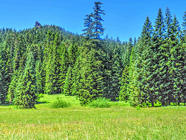 tombstone meadows 61 graphic